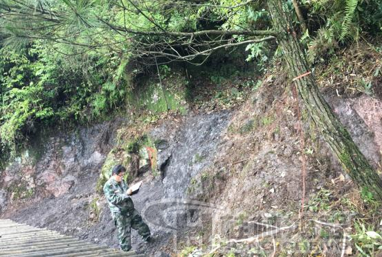 广西恭城晶质石墨矿 广西恭城晶质石墨矿