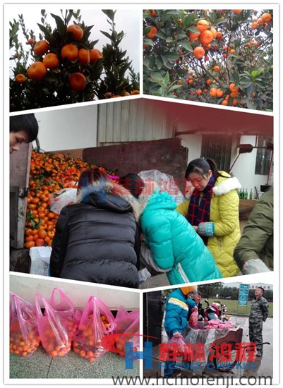 南丰蜜桔滞销现象严重 桂林鸿程收购 南丰蜜桔 南丰蜜桔滞销现象严重 桂林鸿程收购 南丰蜜桔