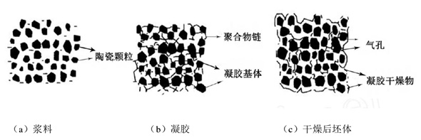 凝胶注模成型陶瓷膜详细操作步骤