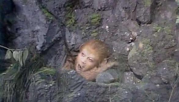 压住孙悟空那种石头 压住孙悟空那种石头